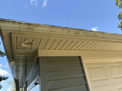 Before Gutter Cleaning