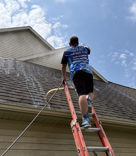 Roof<br/>Cleaning